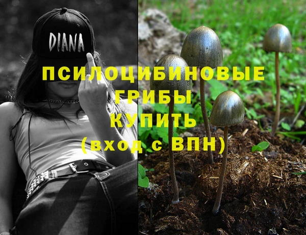 ALPHA-PVP Армянск