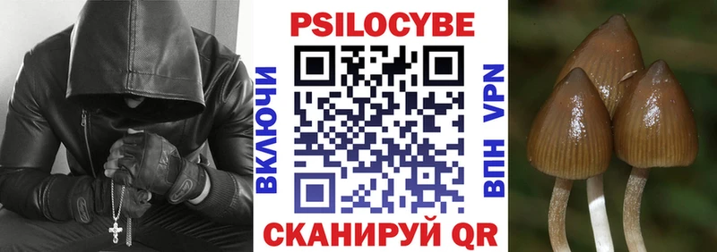 Галлюциногенные грибы Magic Shrooms  закладка  гидра рабочий сайт  Новоузенск 